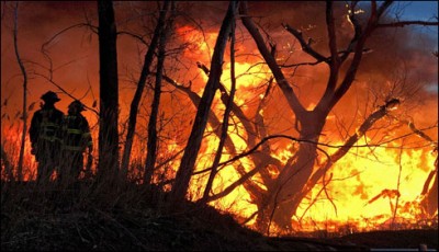 Argentina Forest Fire