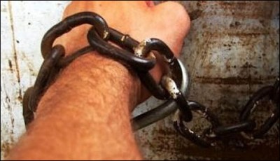 7 terrorists arrested in various Bannu