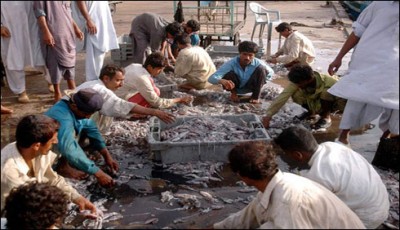 fish processing 