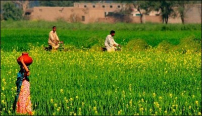  lower in Sindh