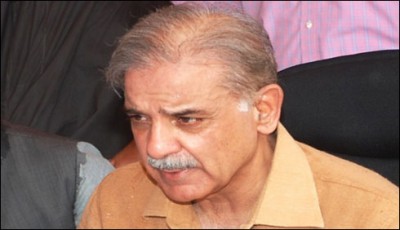  bus go hide, Shahbaz