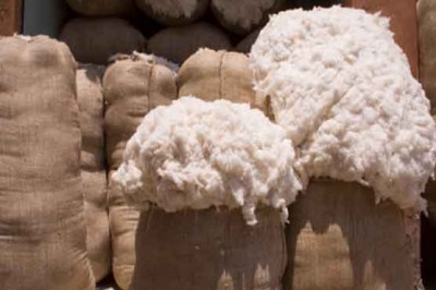 50 lakh bales of cotton